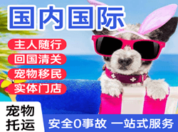 济南航空物流国际宠物托运 【国